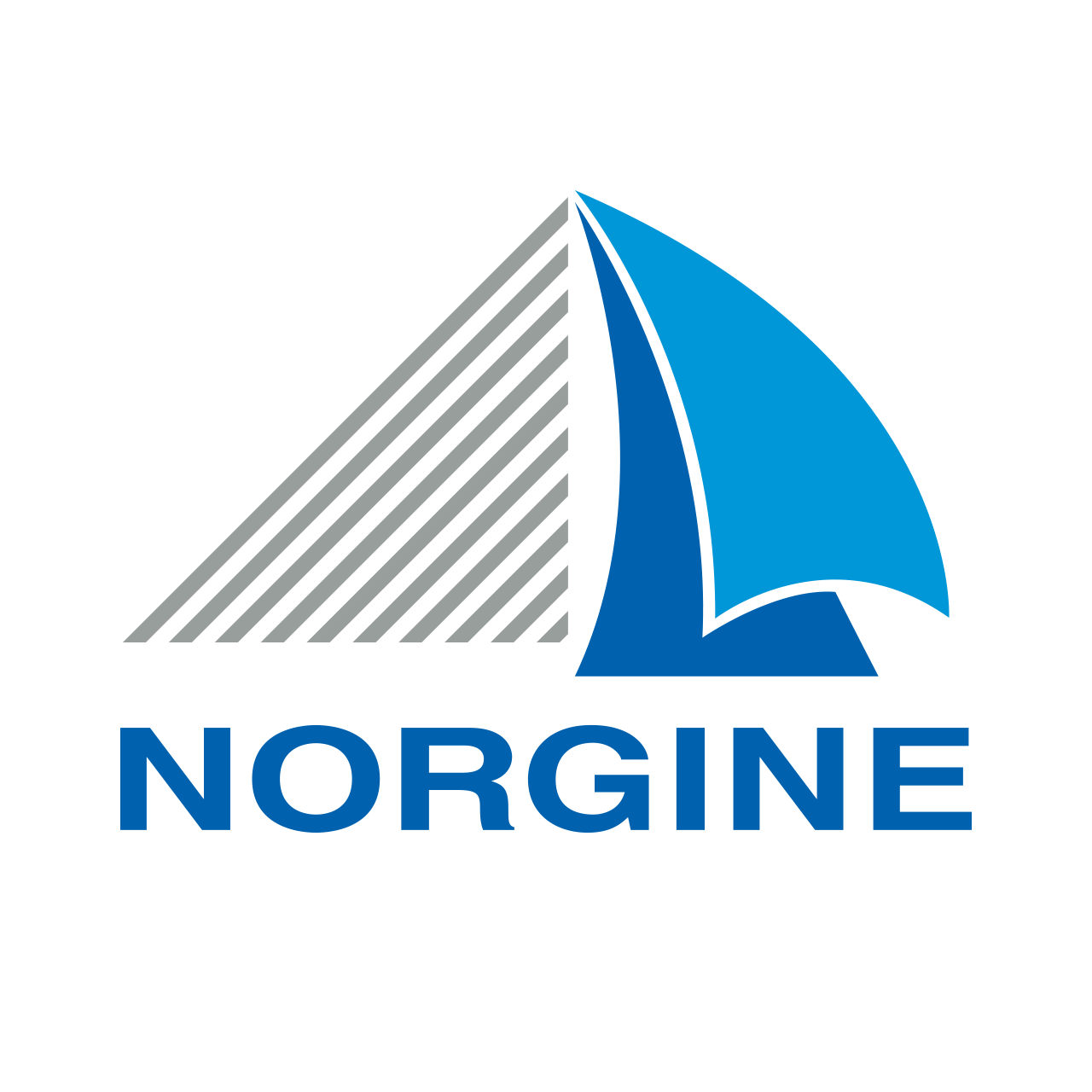 logo dgpgm kongress sponsor norgine